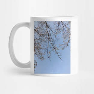 Sky and branches Mug